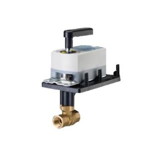 Ball Valve Assembly, 2 Way, 2 in.