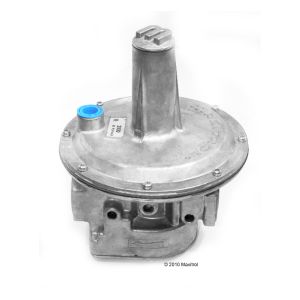 Gas Pressure Regulator, 1 in.