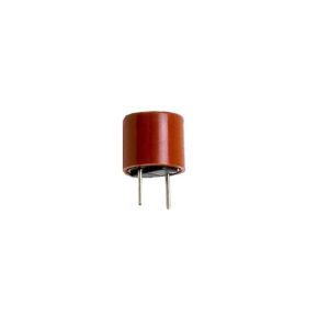 Replacement Fuse