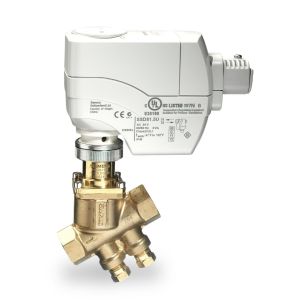PICV Assembly, 2 Way, 3/4 in., NPT