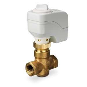 Globe Valve Assembly, 2 Way, 1 in.