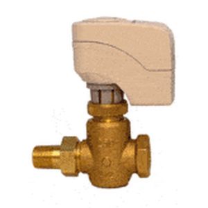 Globe Valve Assembly, 2 Way, 1/2 in.