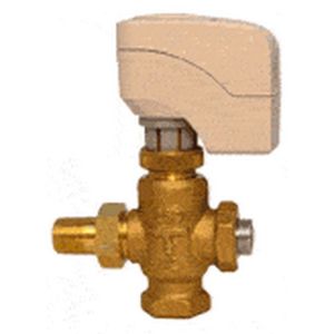 Globe Valve Assembly, 2 Way, 1/2 in.