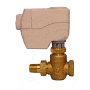 Globe Valve Assembly, 2 Way, 1/2 in.