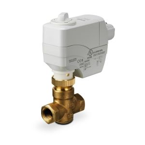 Globe Valve Assembly, 2 Way, 1 in.