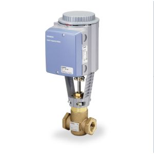 Globe Valve Assembly, 2 Way, 1-1/4 in.