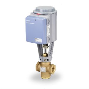 Globe Valve Assembly, 2 Way, 1-1/4 in.