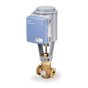 Globe Valve Assembly, 2 Way, 3 in.