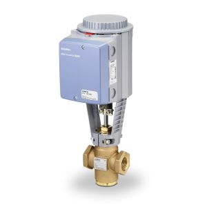 Globe Valve Assembly, 2 Way, 1-1/4 in.