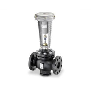 Globe Valve Assembly, 2 Way, 2-1/2 in.