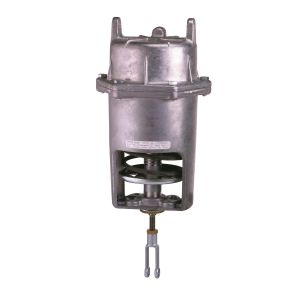 Globe Valve Assembly, 2 Way, 2-1/2 in.