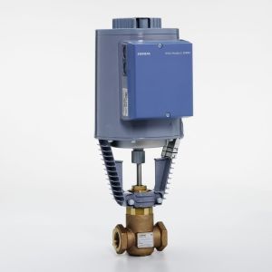 Globe Valve Assembly, 2 Way, 1 in.