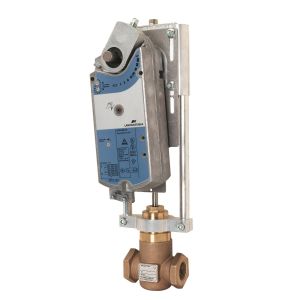 Globe Valve Assembly, 2 Way, 1-1/4 in.