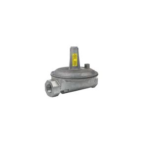 Gas Pressure Regulator, 2 in.