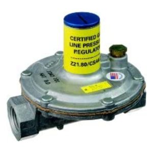 Gas Pressure Regulator, 1/2 in.