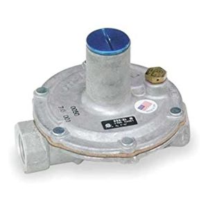 Gas Pressure Regulator, 3/8 in.