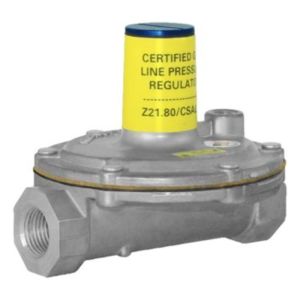 Gas Pressure Regulator, 1/2 in.