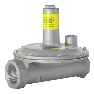 Gas Pressure Regulator, 1/2 in.