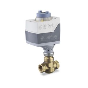 Globe Valve Assembly, 2 Way, 1/2 in. NPT