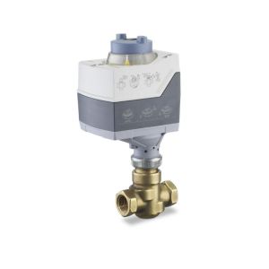 Globe Valve Assembly, 2 Way, 1/2 in. NPT