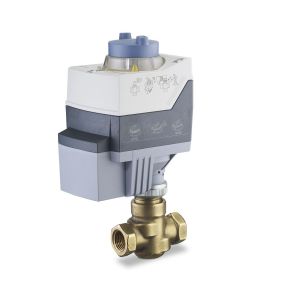 Globe Valve Assembly, 2 Way, 1/2 in. NPT
