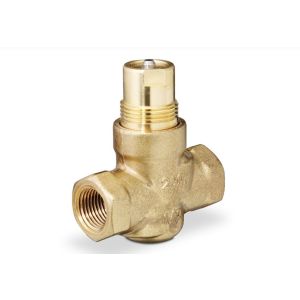Globe Valve, 2 Way, 1/2 in. NPT, 0.63 Cv