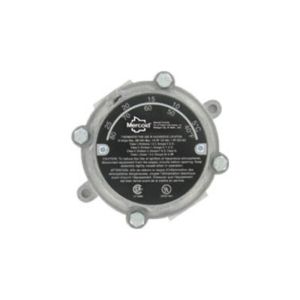 Explosion-Proof, Heavy-Duty Thermostat