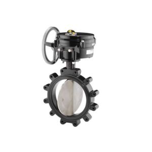 Butterfly Valve, 2 Way, 6 in. NPT