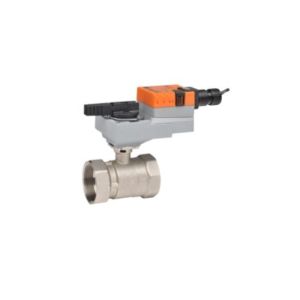 CCV Assembly 2 Way, 1 1/4 in. NPT, 10 Cv