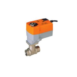 CCV Assembly 2 Way, 1/2 in. NPT, 0.3 Cv