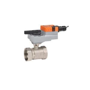 CCV Assembly 2 Way, 1-1/4 in. NPT, 10 Cv