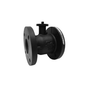 CCV, 2 Way, 2-1/2 in. Flanged, 110 Cv