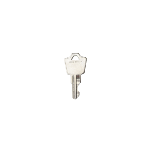 BAPI-GUARD REPLACEMENT KEY