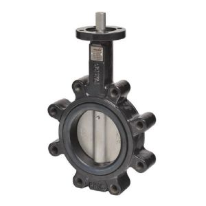 Butterfly Valve, 2 Way, 4 in. Flanged