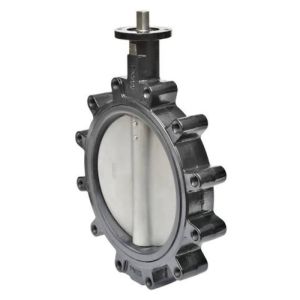 Butterfly Valve, 2 Way, 8 in. Flanged