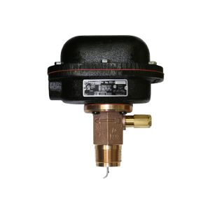 1.25NPT NEMA4X  Flow Switch