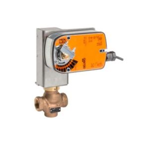 Globe Valve Assembly, 2 Way, 1-1/4 in.