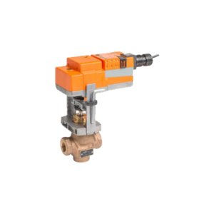 Globe Valve Assembly, 2 Way, 1-1/4 in.