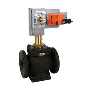 Globe Valve Assembly, 2 Way, 4 in.