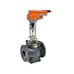 Globe Valve Assembly, 2 Way, 6 in.