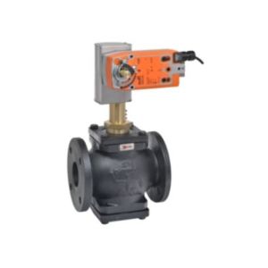 Globe Valve Assembly, 2 Way, 3 in.