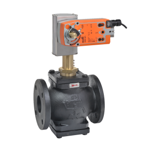 Globe Valve Assembly, 2 Way, 3 in.