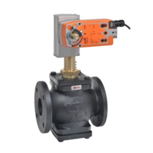 Globe Valve Assembly, 2 Way, 3 in.