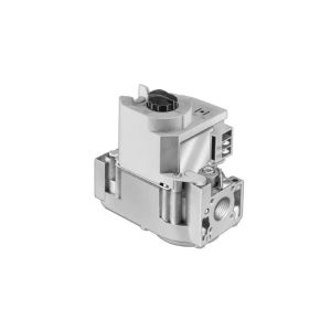 Dual Direct Ignition Gas Valve