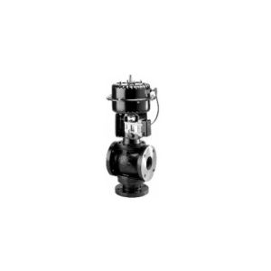Globe Valve Assembly, 2 Way, 5 in.