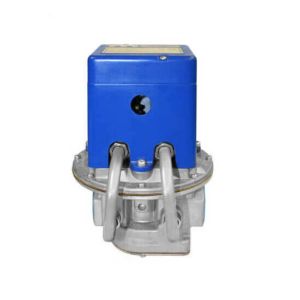 Regulator Valve, 1-1/2 in.