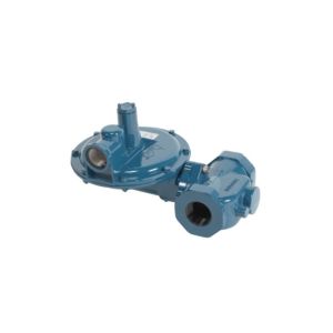 Gas Pressure Regulator, 2 in. NPT