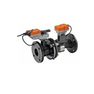 EPIV Assembly, 2 Way, 6 in. NPT