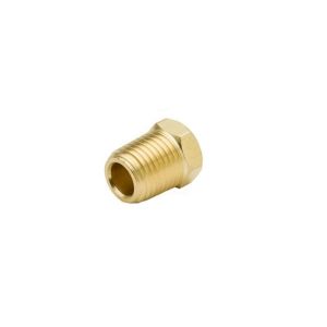 1/4 in. MPT Pipe Plug