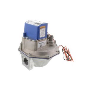 Diaphragm Gas Valve, 1 in., NPT